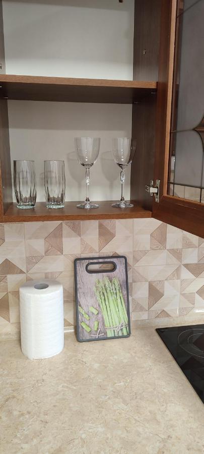 Sweethomeapartment Kamianets-Podilskyi Εξωτερικό φωτογραφία